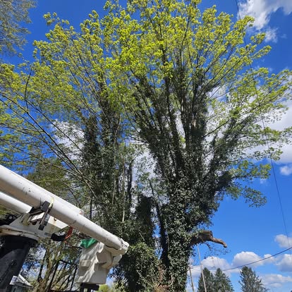 Parlock Property Services team at work