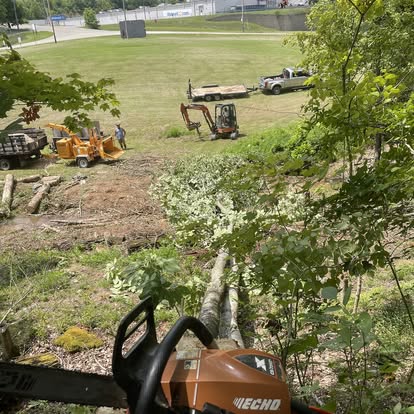Land clearing with chainsaw and equipment