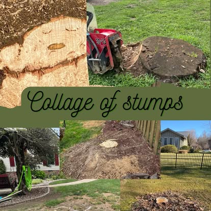Stump grinding collage showing before and after